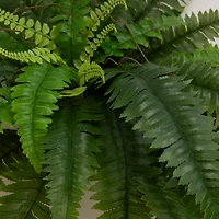 40" UV-Resistant Artificial Boston Ferns, 2ct.