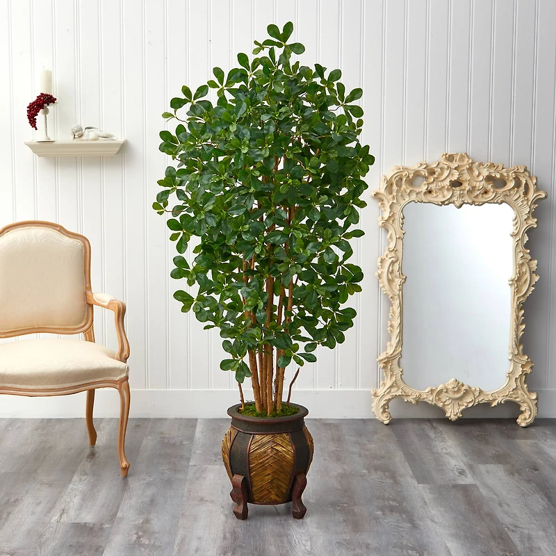 5.5ft. Black Olive Tree with in Decorative Planter