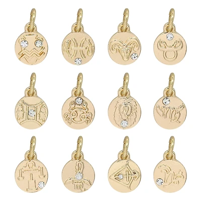 Gold Zodiac Coin Charms by Bead Landing™