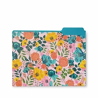Steel Mill & Co.® Garden Blooms File Folders