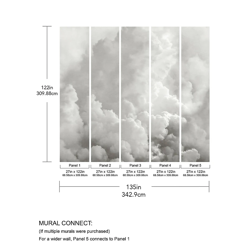 Katie Hunt Dove Gray In the Clouds Wall Mural