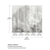 Katie Hunt Dove Gray In the Clouds Wall Mural