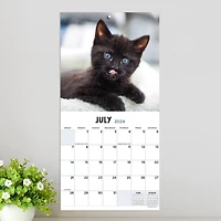 TF Publishing 2024 Kittens Mini Calendar