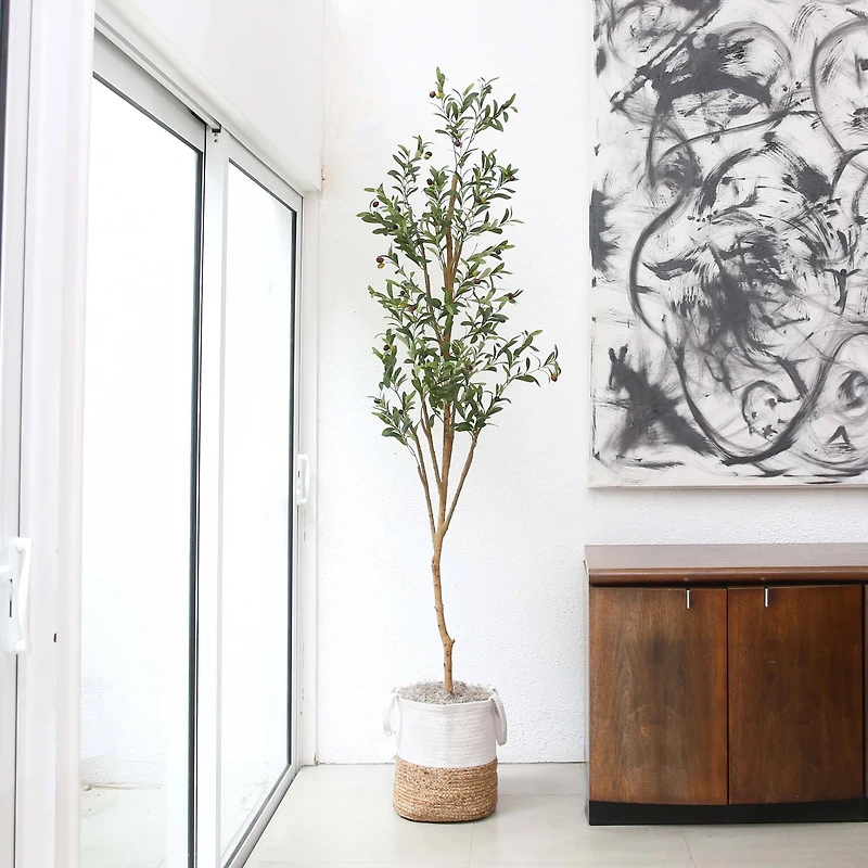 7ft. Olive Tree with Natural Trunk in Handmade Jute Basket