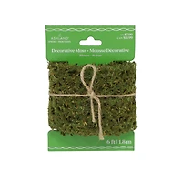 6ft. Green Decorative Moss Ribbon by Ashland®