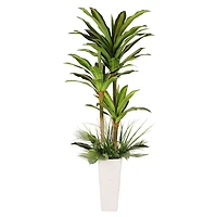 6ft. Artificial Dracaena Fragrans Tree in White Decorative Pot