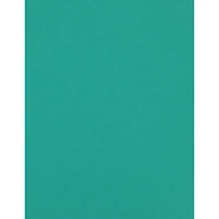 PA Paper™ Accents 8.5" x 11" 74lb. Cardstock