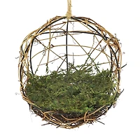 8.5" Moss Nest Grapevine Form by Ashland®