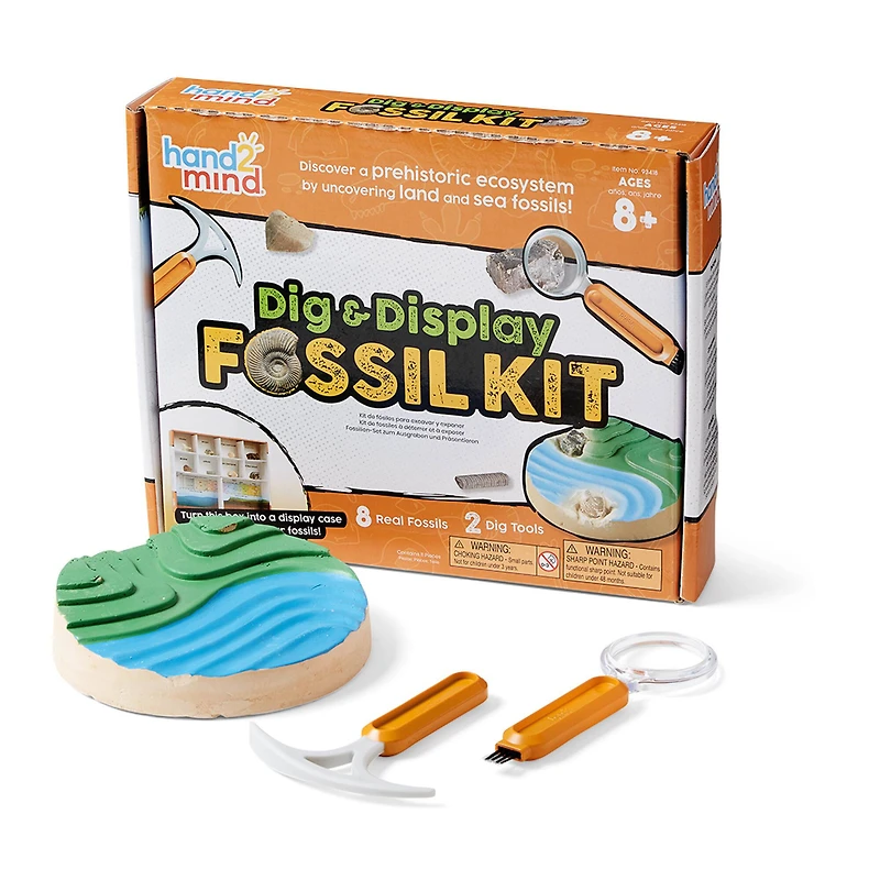 hand2mind® Dig & Display Fossil Kit