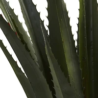 4.5ft. Potted Giant Agave Plant