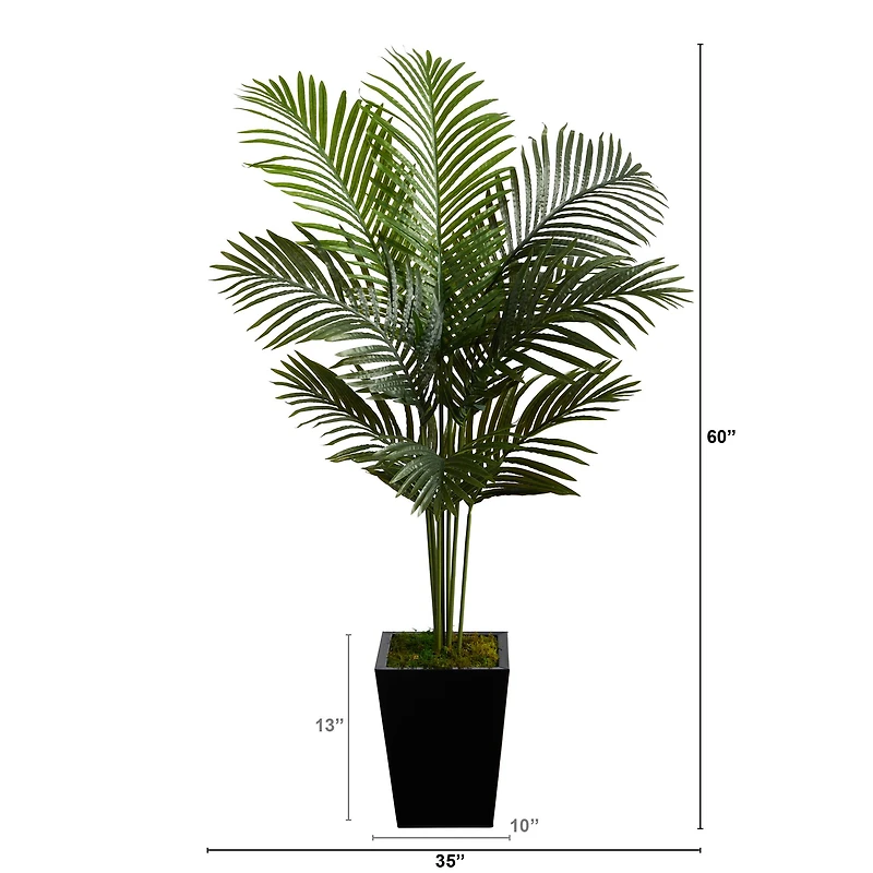 5ft. Paradise Palm Tree in Black Metal Planter