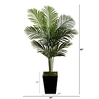 5ft. Paradise Palm Tree in Black Metal Planter