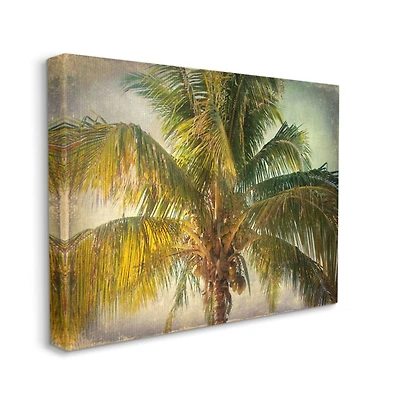 Stupell Industries Distressed Tropical Summer Palm Tree Canvas Wall Art