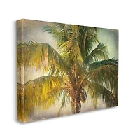 Stupell Industries Distressed Tropical Summer Palm Tree Canvas Wall Art