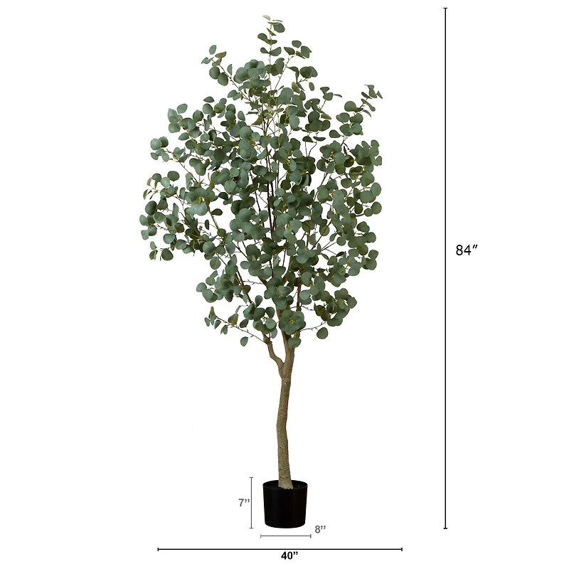7ft. Potted Greco Eucalyptus Tree