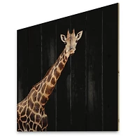Designart - Portrait of A Giraffe VII