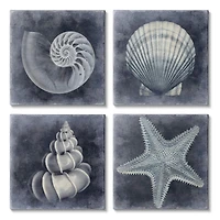 Stupell Industries Nautical Distressed Seashells and Starfish Blue White Canvas Wall Art, 17" x 17"
