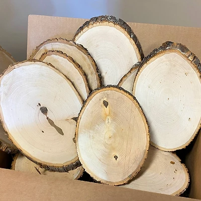 Wilson® Enterprises 30 Pack Medium Basswood Plaque Seconds