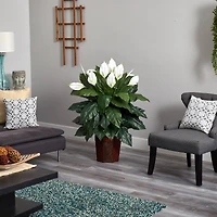 4ft. Peace Lily Plant in Wood Vase