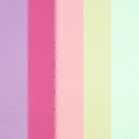 8.5" x 11" Mixed 24lb. Solid Core Paper Pack by Recollections