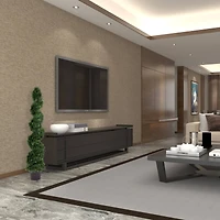 5ft. Potted Green Cedar Spiral Tree