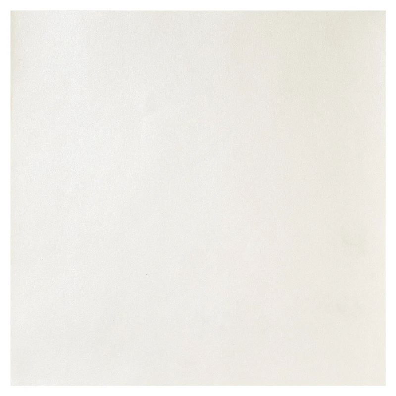 Shimmer Cardstock Paper by Recollections