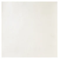 Shimmer Cardstock Paper by Recollections