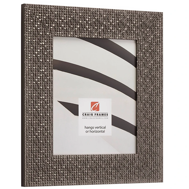 Craig Frames Glimmer Pewter Gray Picture Frame