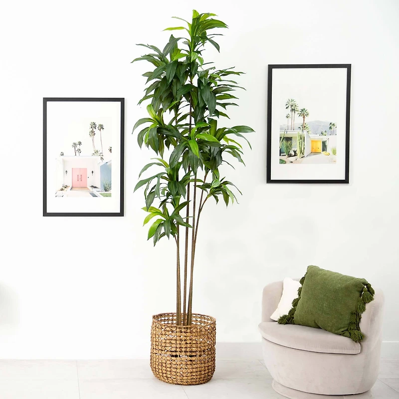 10ft. Potted Green Artificial Dracaena Tree with Real Touch Leaves
