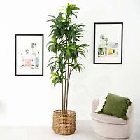 10ft. Potted Green Artificial Dracaena Tree with Real Touch Leaves