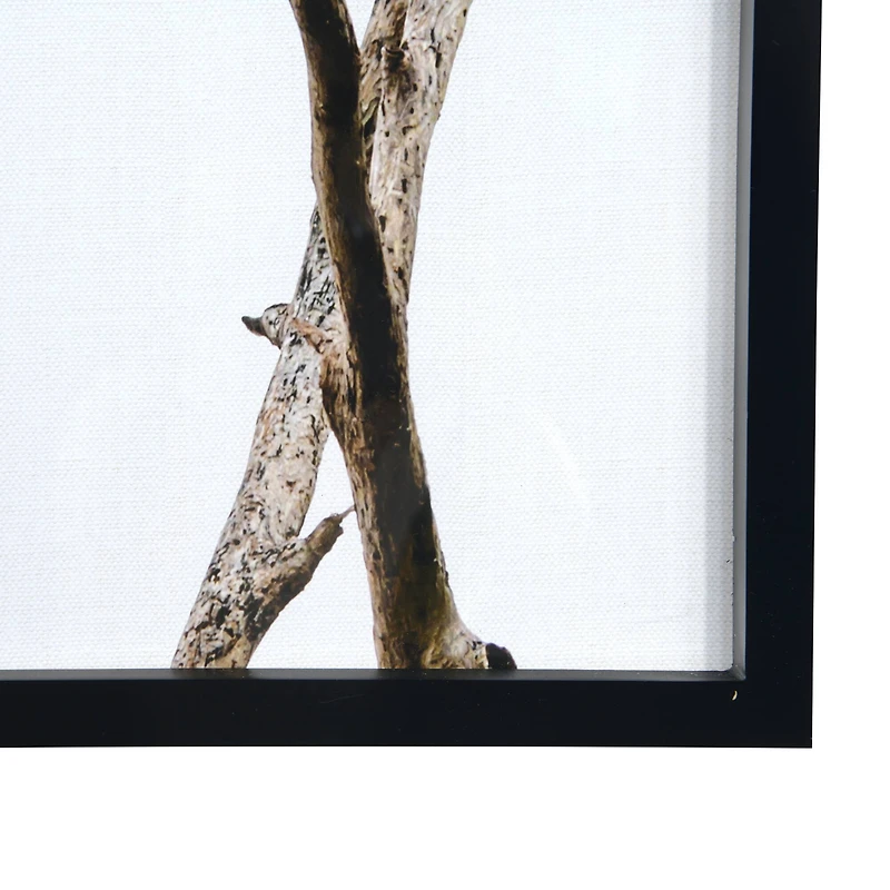 Hello Honey® Black Wood Framed Branch Artwork Set
