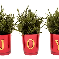 8" Christmas Joy Tabletop Votive Card Holder Set