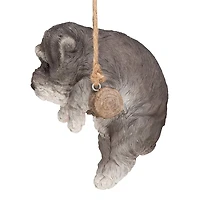 Design Toscano 8" Mini Schnauzer Puppy on a Perch Hanging Dog Sculpture