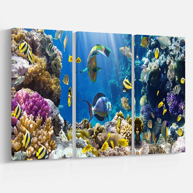 Designart - Fish in Coral Reef