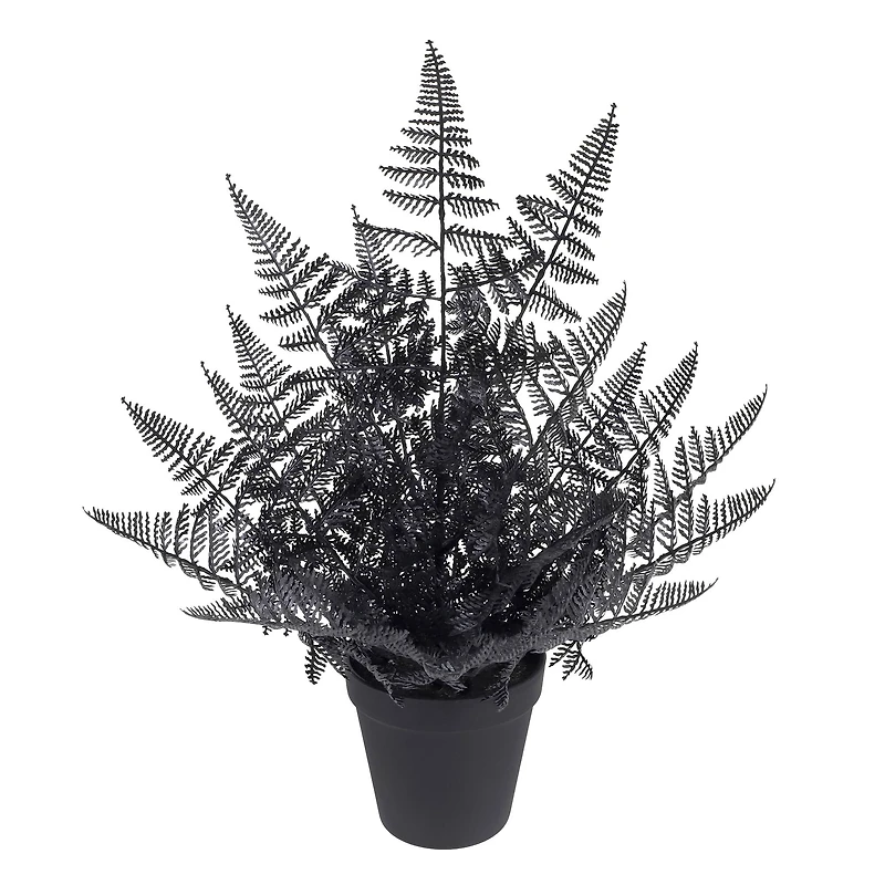 16" Black Fern by Ashland®