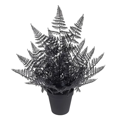 16" Black Fern by Ashland®