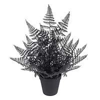 16" Black Fern by Ashland®