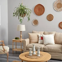 2ft. Spider Hanging Basket