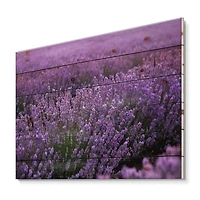 Designart - Blooming Purple Lavender Field