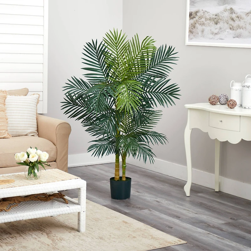 5ft. Potted Golden Cane Palm Tree