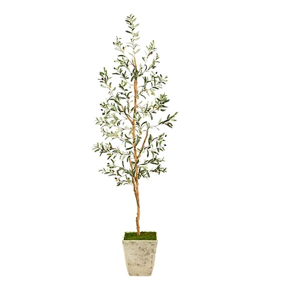 6ft. Olive Artificial Tree in Country White Planter
