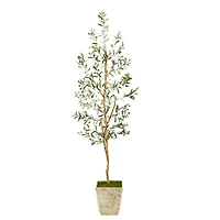 6ft. Olive Artificial Tree in Country White Planter