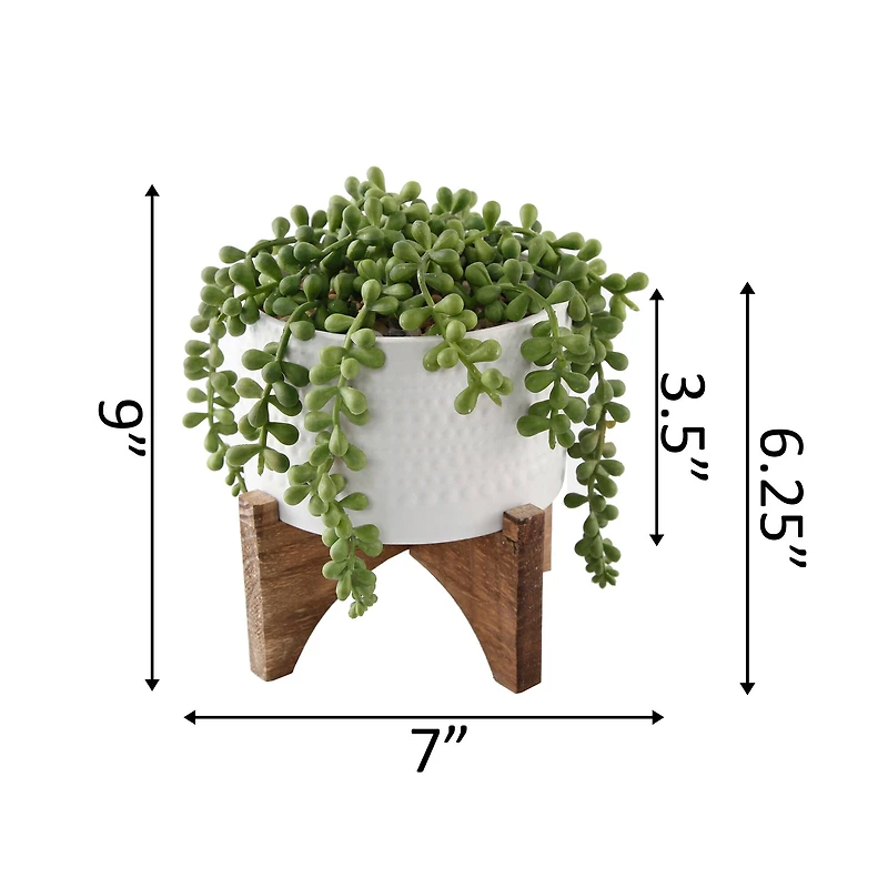 Flora Bunda® 5" String Of Pearl In Hobnail Ceramic Planter On Stand