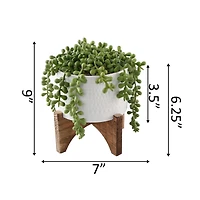 Flora Bunda® 5" String Of Pearl In Hobnail Ceramic Planter On Stand