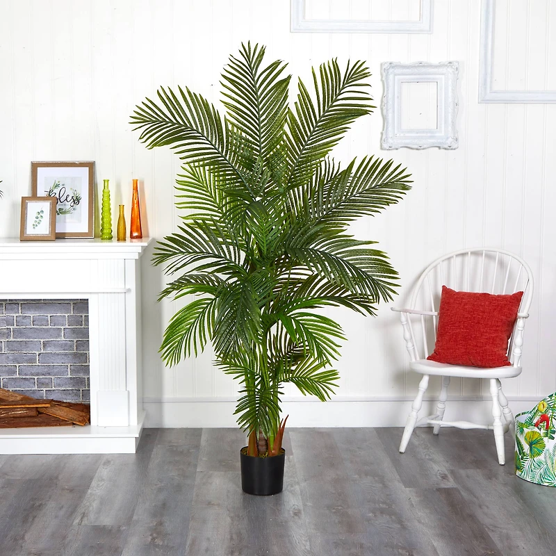 6ft. Potted Areca Palm Tree