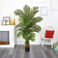 6ft. Potted Areca Palm Tree