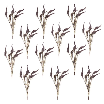 Seeded Harvest Bush, 12ct.