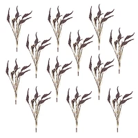 Seeded Harvest Bush, 12ct.