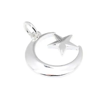 Silver Plated Star & Moon Charm by Bead Landing™