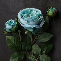 Teal English Rose Stem by Ashland®